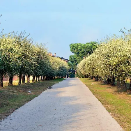 Profumo Del Mosto - Uva